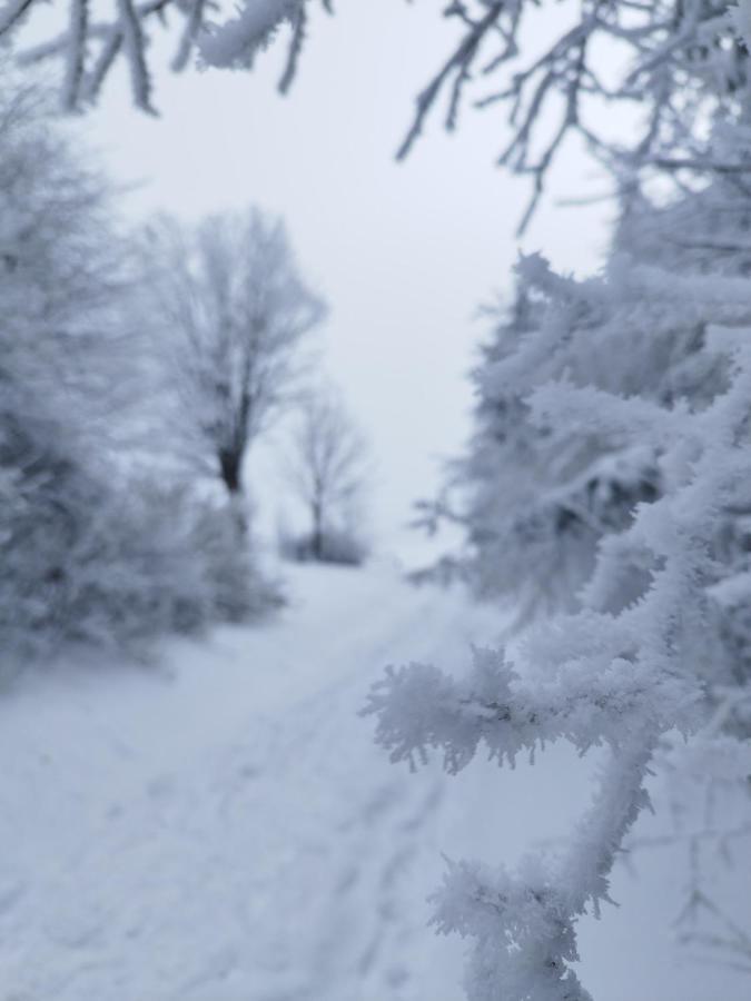 Penzion U Zpevaku Nove Hute Exterior foto
